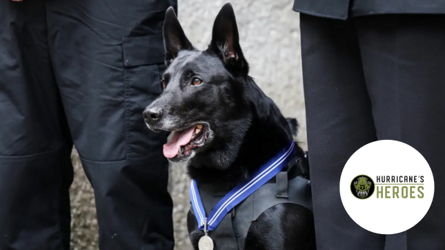 Hurricane's Heroes Hurricane's Heroes Logo