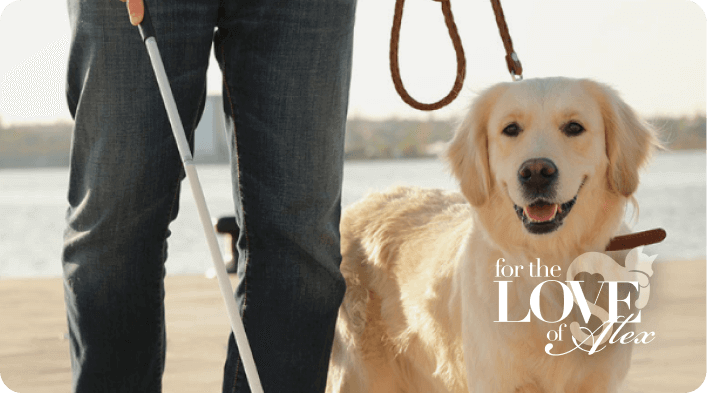 Trusted by world-changers big and small Trusted by world-changers big and small